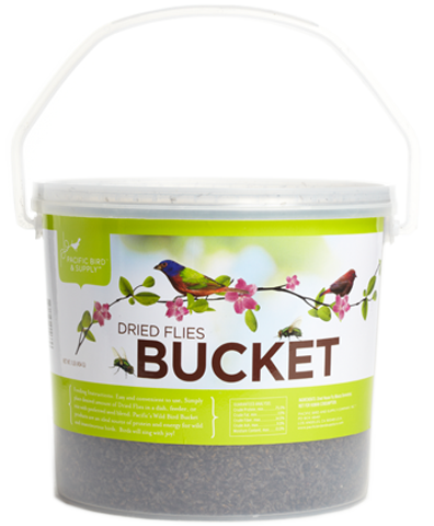 Dried House Flies Bucket - Click Image to Close